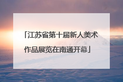 江苏省第十届新人美术作品展览在南通开幕