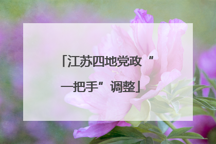 江苏四地党政“一把手”调整