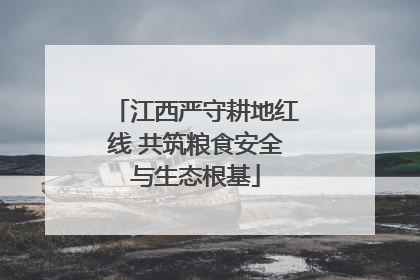 江西严守耕地红线 共筑粮食安全与生态根基