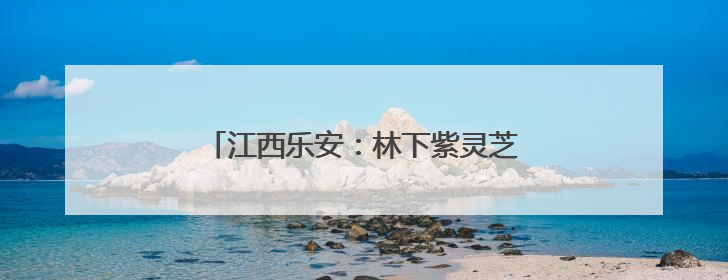 江西乐安：林下紫灵芝撑开群众“致富伞”