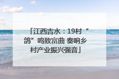 江西吉水：19村“鸽”鸣致富曲 奏响乡村产业振兴强音