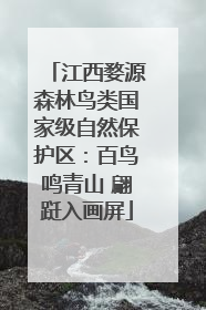 江西婺源森林鸟类国家级自然保护区：百鸟鸣青山 翩跹入画屏
