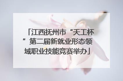 江西抚州市“天工杯”第二届新就业形态领域职业技能竞赛举办