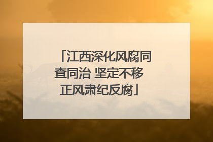 江西深化风腐同查同治 坚定不移正风肃纪反腐