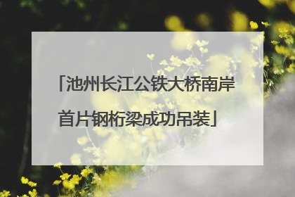池州长江公铁大桥南岸首片钢桁梁成功吊装