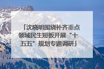 沈晓明围绕补齐重点领域民生短板开展“十五五”规划专题调研