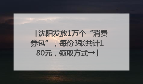 沈阳发放1万个“消费券包”，每份3张共计180元，领取方式→