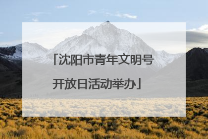 沈阳市青年文明号开放日活动举办