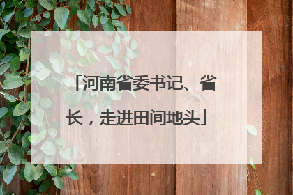 河南省委书记、省长，走进田间地头
