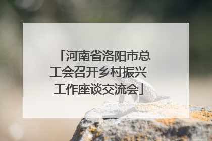 河南省洛阳市总工会召开乡村振兴工作座谈交流会