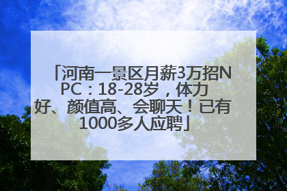 河南一景区月薪3万招NPC：18-28岁，体力好、颜值高、会聊天！已有1000多人应聘