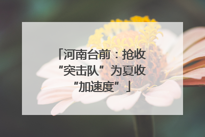 河南台前：抢收“突击队”为夏收“加速度”
