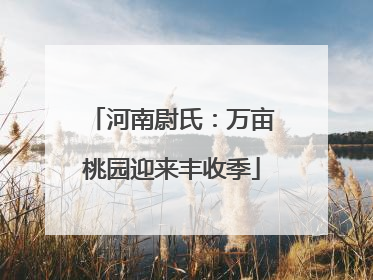 河南尉氏：万亩桃园迎来丰收季