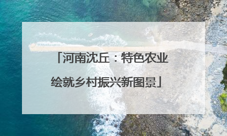 河南沈丘：特色农业绘就乡村振兴新图景