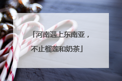 河南遇上东南亚，不止榴莲和奶茶