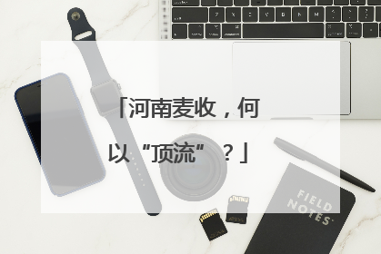 河南麦收，何以“顶流”？