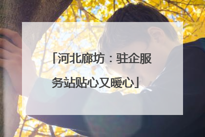 河北廊坊：驻企服务站贴心又暖心