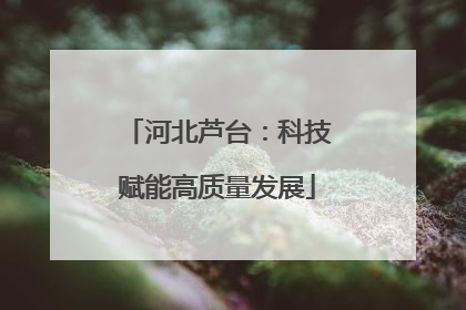 河北芦台：科技赋能高质量发展
