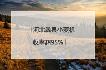 河北蠡县小麦机收率超95%