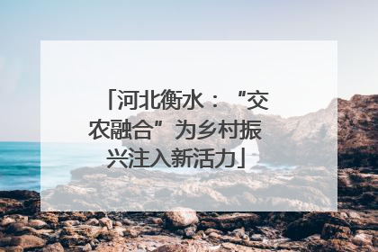 河北衡水：“交农融合”为乡村振兴注入新活力