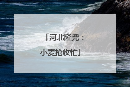 河北隆尧：小麦抢收忙