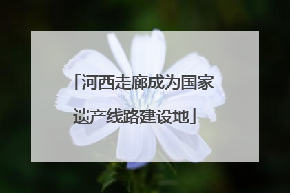 河西走廊成为国家遗产线路建设地