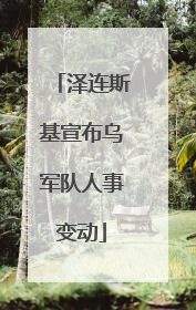 泽连斯基宣布乌军队人事变动