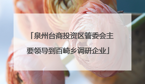 泉州台商投资区管委会主要领导到百崎乡调研企业