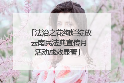 法治之花绚烂绽放 云南民法典宣传月活动成效显著
