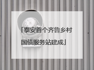 泰安首个齐鲁乡村国债服务站建成