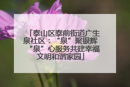 泰山区泰前街道广生泉社区：“泉”聚银辉“泉”心服务共建幸福文明和谐家园