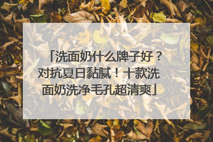 洗面奶什么牌子好？对抗夏日黏腻！十款洗面奶洗净毛孔超清爽