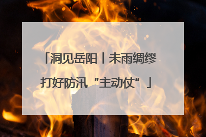 洞见岳阳丨未雨绸缪 打好防汛“主动仗”