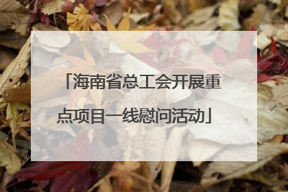 海南省总工会开展重点项目一线慰问活动