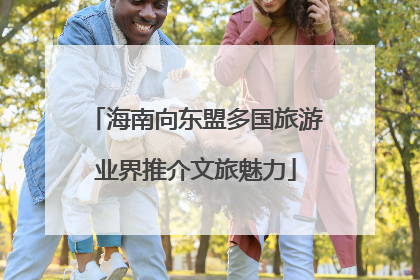 海南向东盟多国旅游业界推介文旅魅力