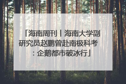 海南周刊丨海南大学副研究员赵鹏曾赴南极科考：企鹅都市破冰行