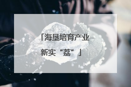 海垦培育产业新实“荔”