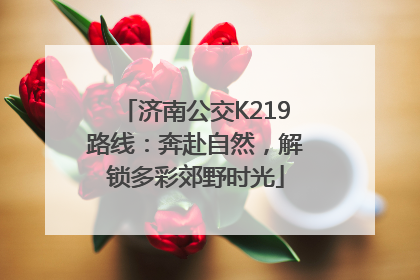 济南公交K219路线：奔赴自然，解锁多彩郊野时光