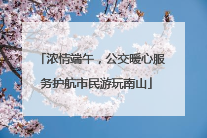 浓情端午，公交暖心服务护航市民游玩南山