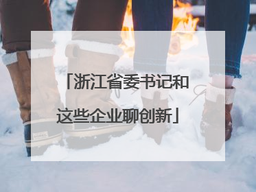 浙江省委书记和这些企业聊创新