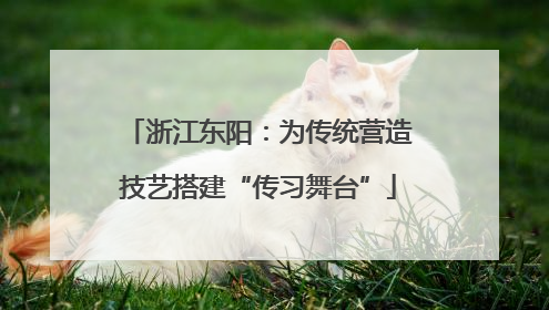 浙江东阳：为传统营造技艺搭建“传习舞台”