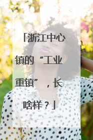 浙江中心镇的“工业重镇”，长啥样？