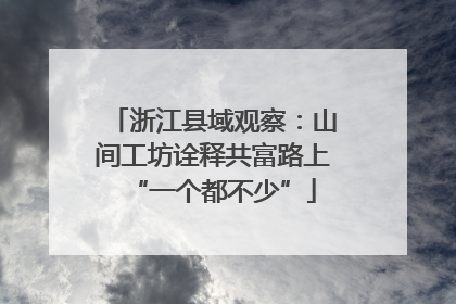 浙江县域观察：山间工坊诠释共富路上“一个都不少”