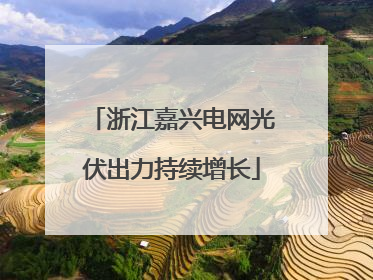浙江嘉兴电网光伏出力持续增长