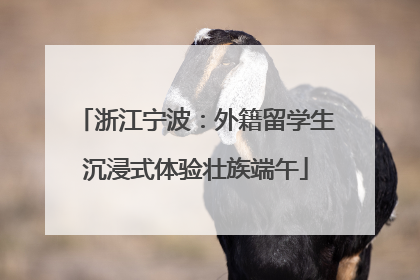 浙江宁波：外籍留学生沉浸式体验壮族端午