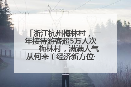 浙江杭州梅林村，一年接待游客超5万人次——梅林村，满满人气从何来（经济新方位·农村消费观察）