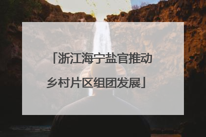 浙江海宁盐官推动乡村片区组团发展