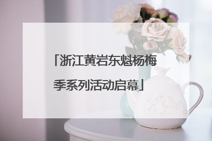 浙江黄岩东魁杨梅季系列活动启幕