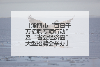 淄博市“百日千万招聘专项行动”暨“省会经济圈”大型招聘会举办