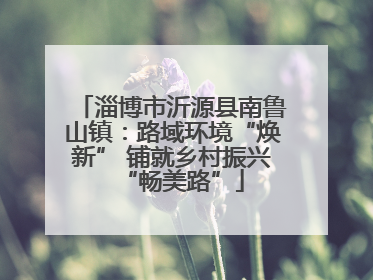 淄博市沂源县南鲁山镇：路域环境“焕新” 铺就乡村振兴“畅美路”
